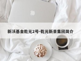 新沃基金乾元2号-乾元新景集团简介