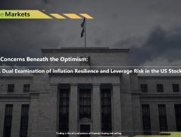 Hidden Concerns Beneath the Optimism: A Dual Examination of Inflation Resilience and Leverage Risk in the US Stock Market