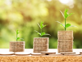 Ace Markets: Redefining the trading experience and making wealth management easier