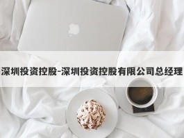 深圳投资控股-深圳投资控股有限公司总经理