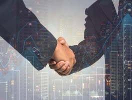 ECN account vs. STP account: Which should I choose? And how do I file taxes after making a trading profit?